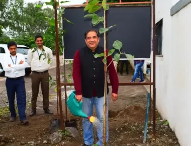 MG-tree-plantation-3-scaled-1